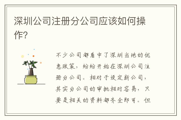 深圳公司注冊分公司應該如何操作？