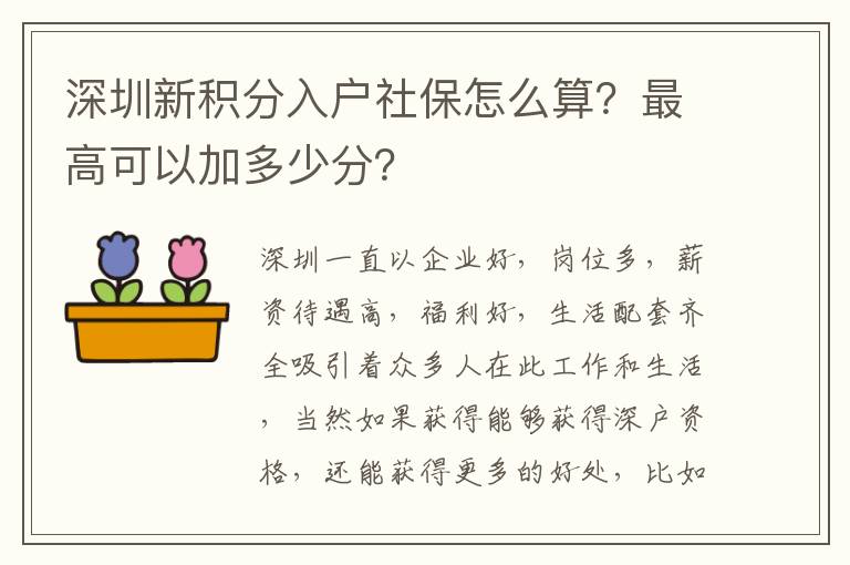 深圳新積分入戶社保怎么算？最高可以加多少分？