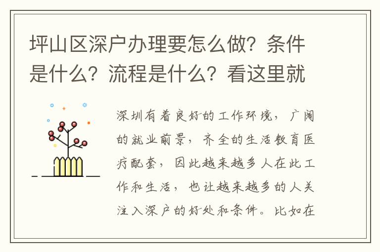 坪山區深戶辦理要怎么做？條件是什么？流程是什么？看這里就夠了！
