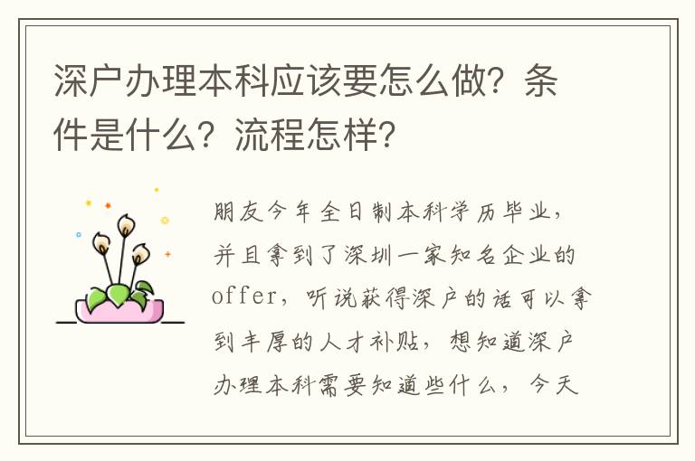 深戶辦理本科應(yīng)該要怎么做？條件是什么？流程怎樣？