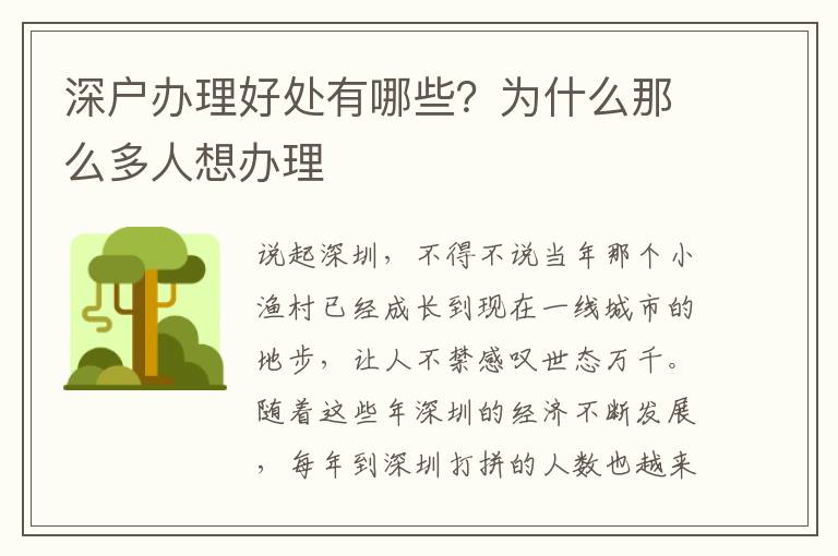 深戶辦理好處有哪些？為什么那么多人想辦理