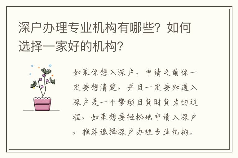 深戶辦理專業機構有哪些？如何選擇一家好的機構？