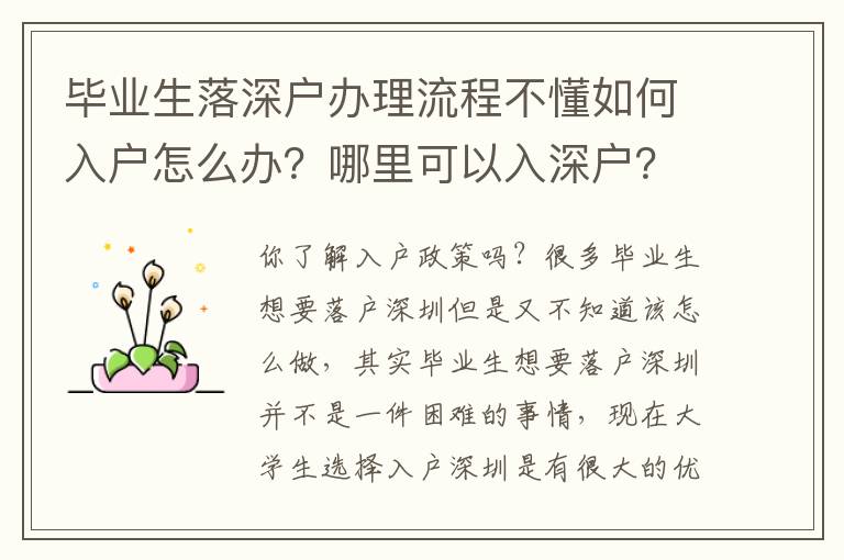 畢業生落深戶辦理流程不懂如何入戶怎么辦？哪里可以入深戶？