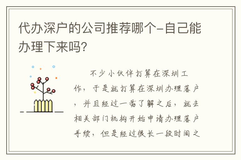 代辦深戶的公司推薦哪個-自己能辦理下來嗎？