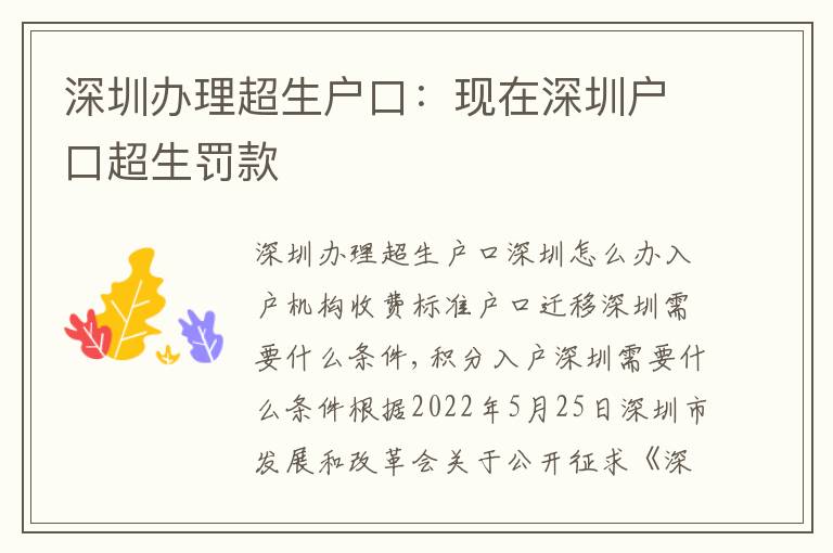 深圳辦理超生戶口：現(xiàn)在深圳戶口超生罰款