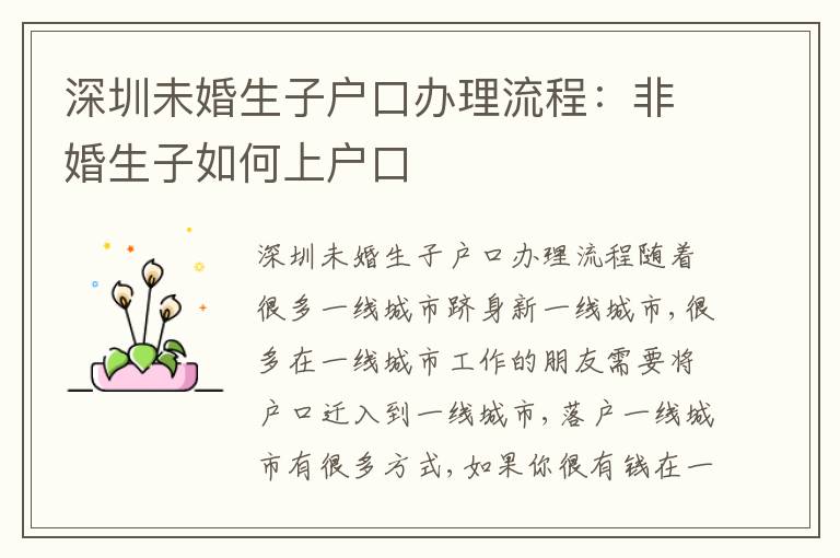 深圳未婚生子戶口辦理流程：非婚生子如何上戶口